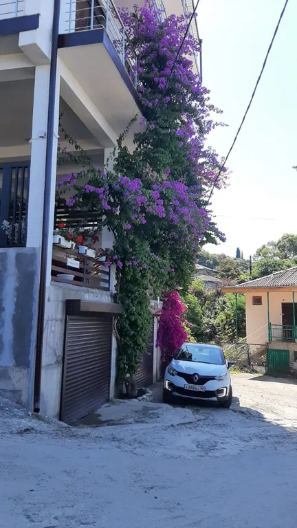 Квартира Комната — Гагра