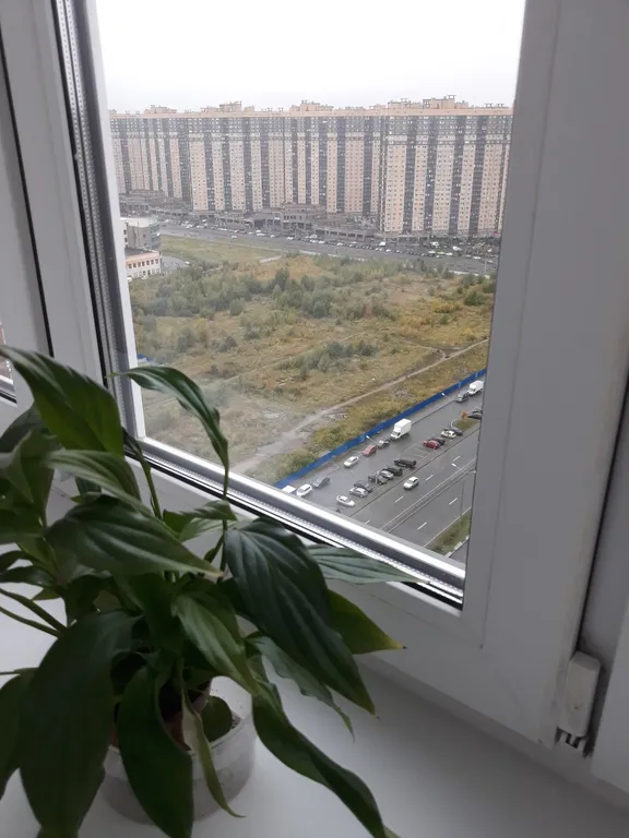 Видовая студия Выше Радуги