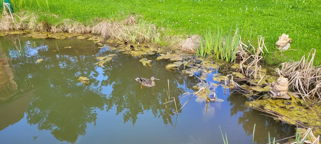 Деревенский домик в пригороде Костромы
