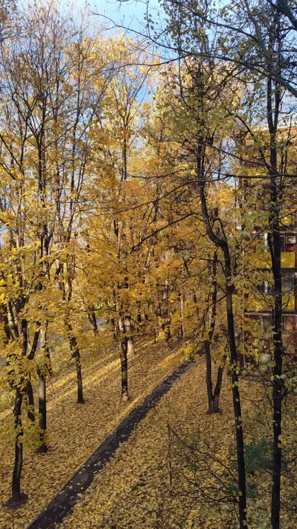 Квартира Светлая квартира — Москва