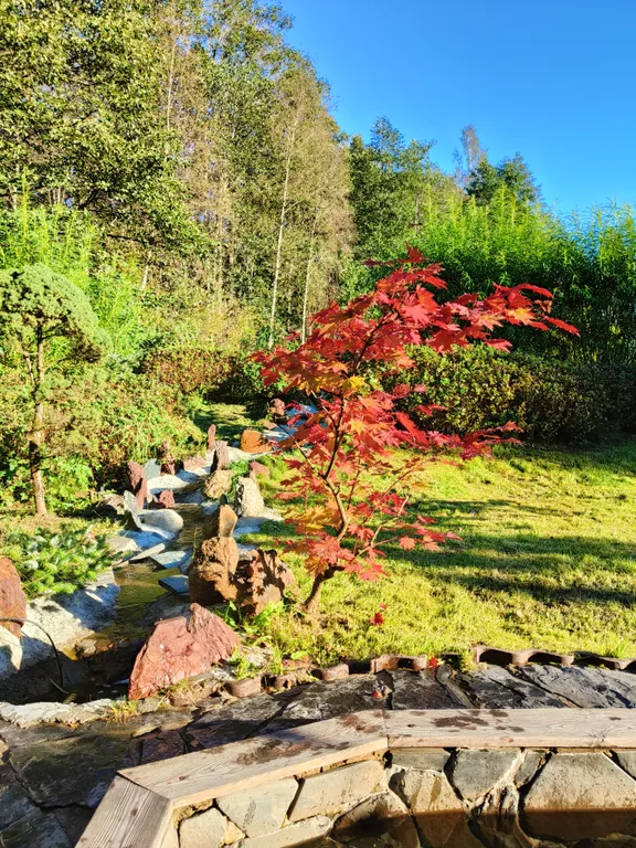 Шале с камином