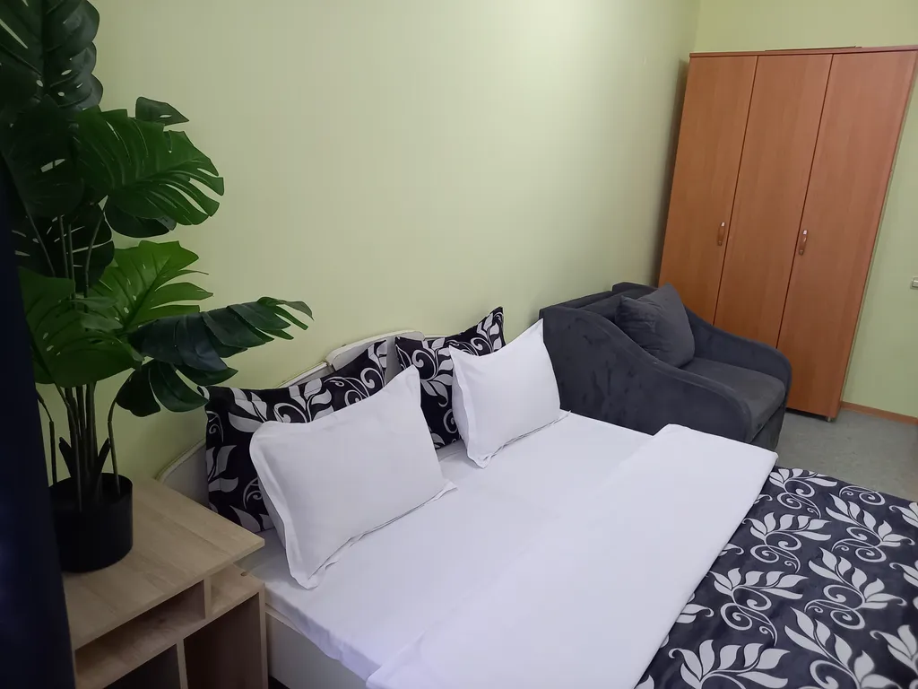 Звёздный оазис