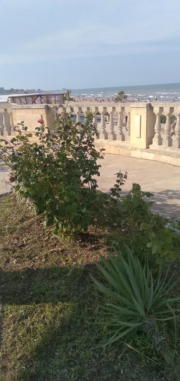 Квартира у моря