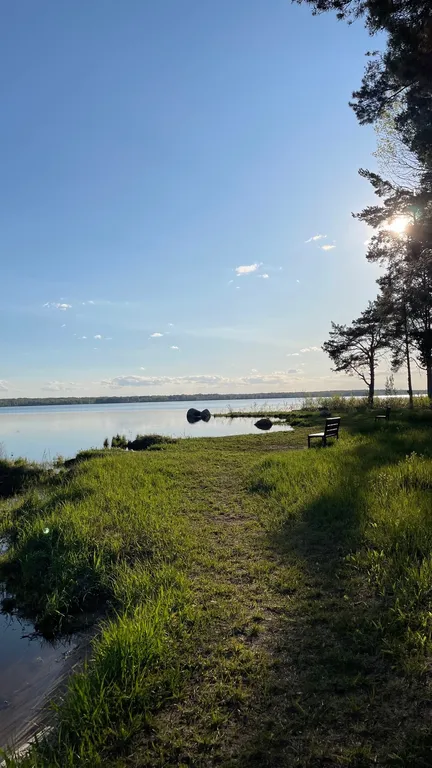 Коттедж Домик в лесу у озера для семейного отдыха — Турбаза Чайка
