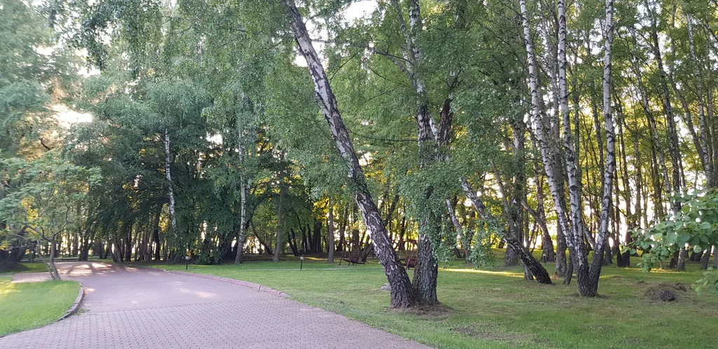 Квартира Апартаменты у Балтийского моря в Светлогорске — Светлогорск