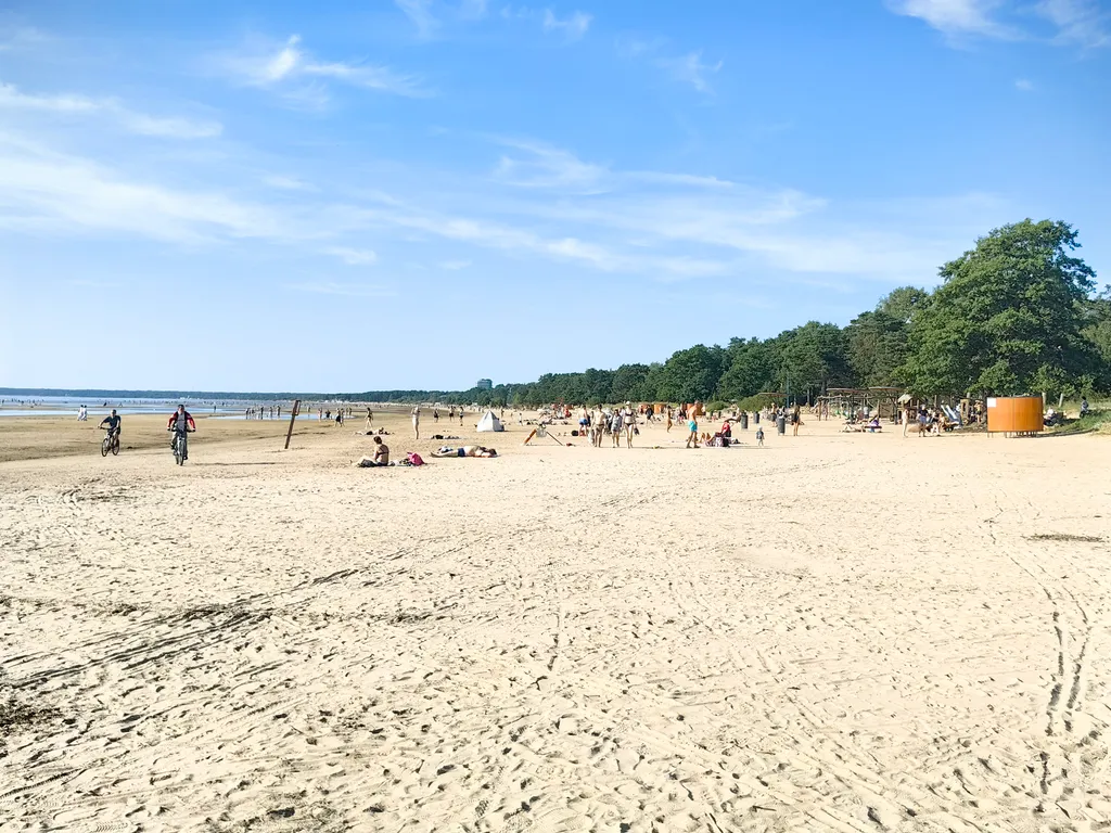 Курортный люкс с видом на лес