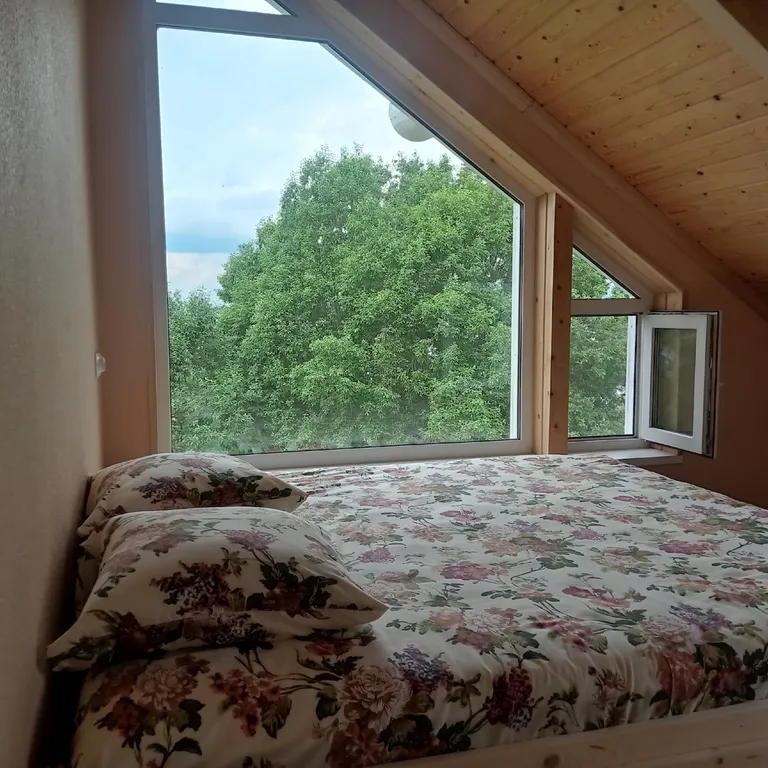 Современный дом на берегу Ладоги