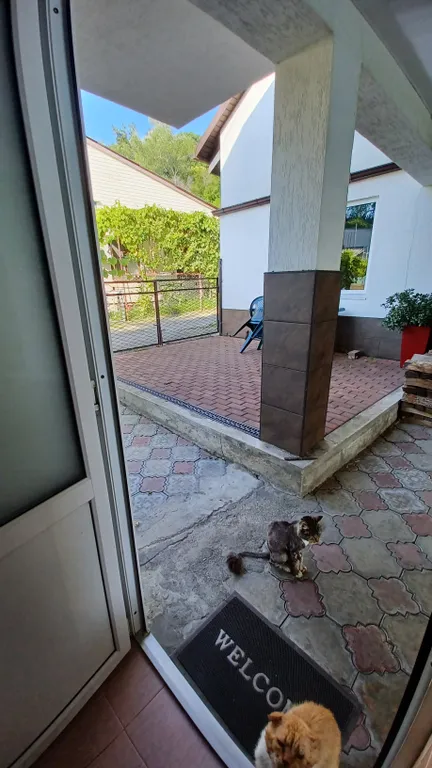 У самого моря комната в частном доме