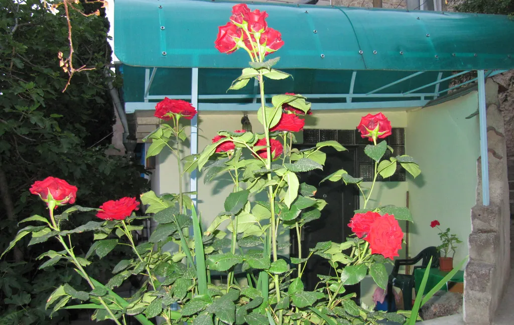 Квартира с парковкой у Воронцовского парка