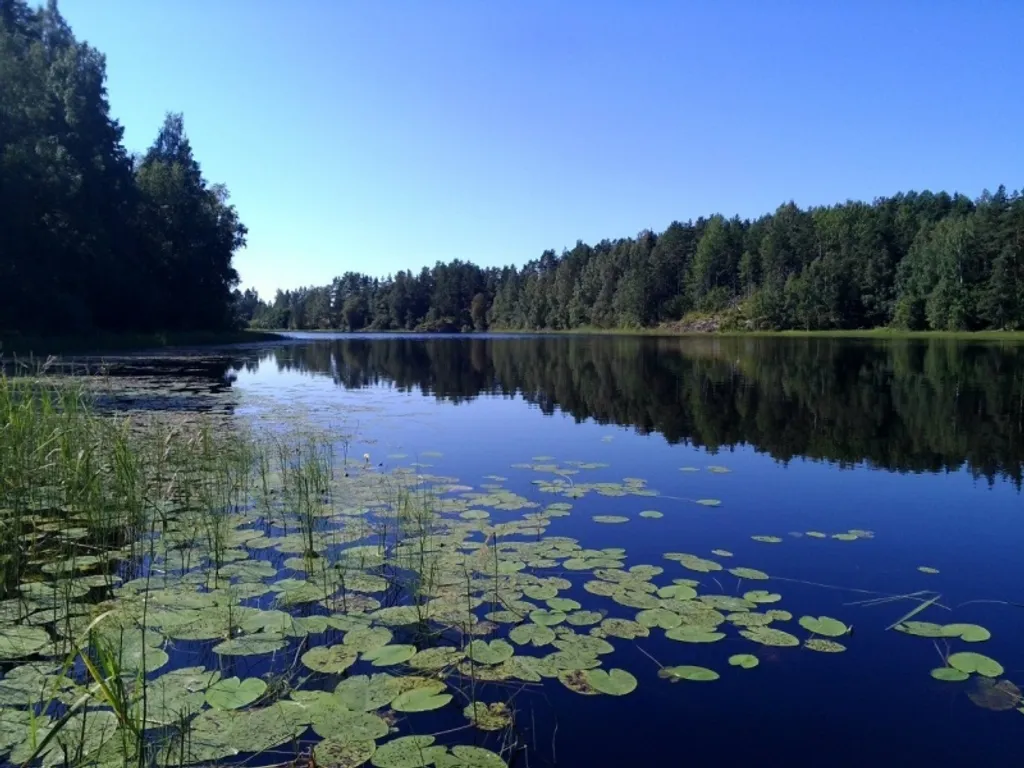 Дачка на Ладожском озере