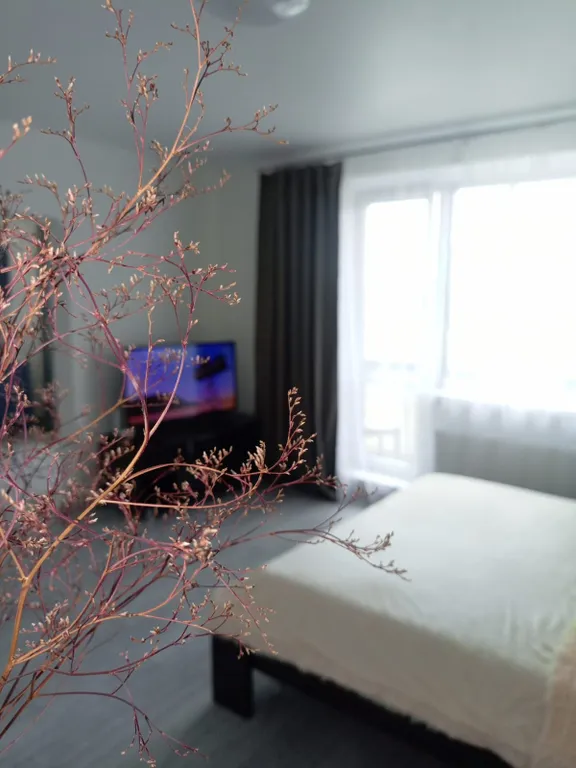 Уютная квартира в непосредственной близости с термы "voda — аренда посуточно в Западный