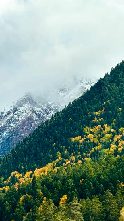 Шале с видом на горы