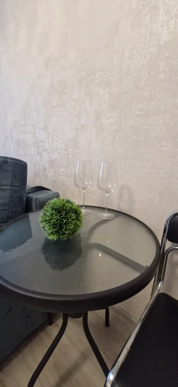 Квартира Впервые уютная квартира в солнечном городе — Светлогорск