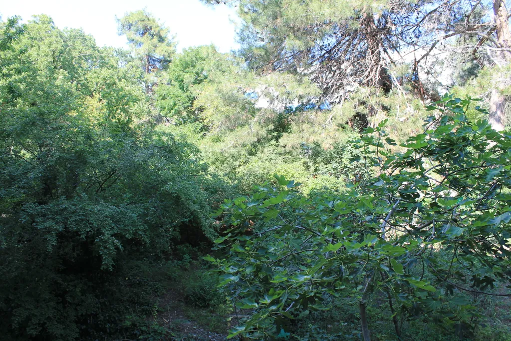 Уютная квартира в самом зеленом районе Дивноморского