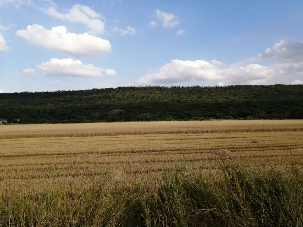 Уютный домик для отдыха в Пятигорске