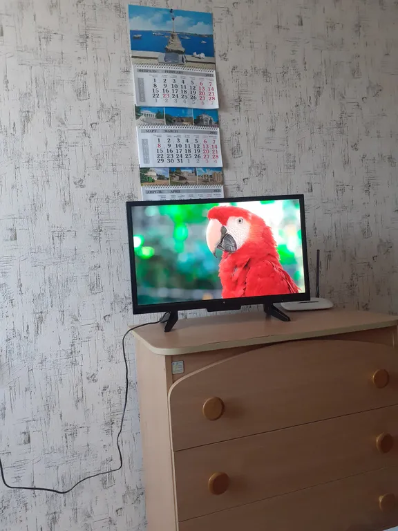 Комната в квартире у пляжа Солнечный