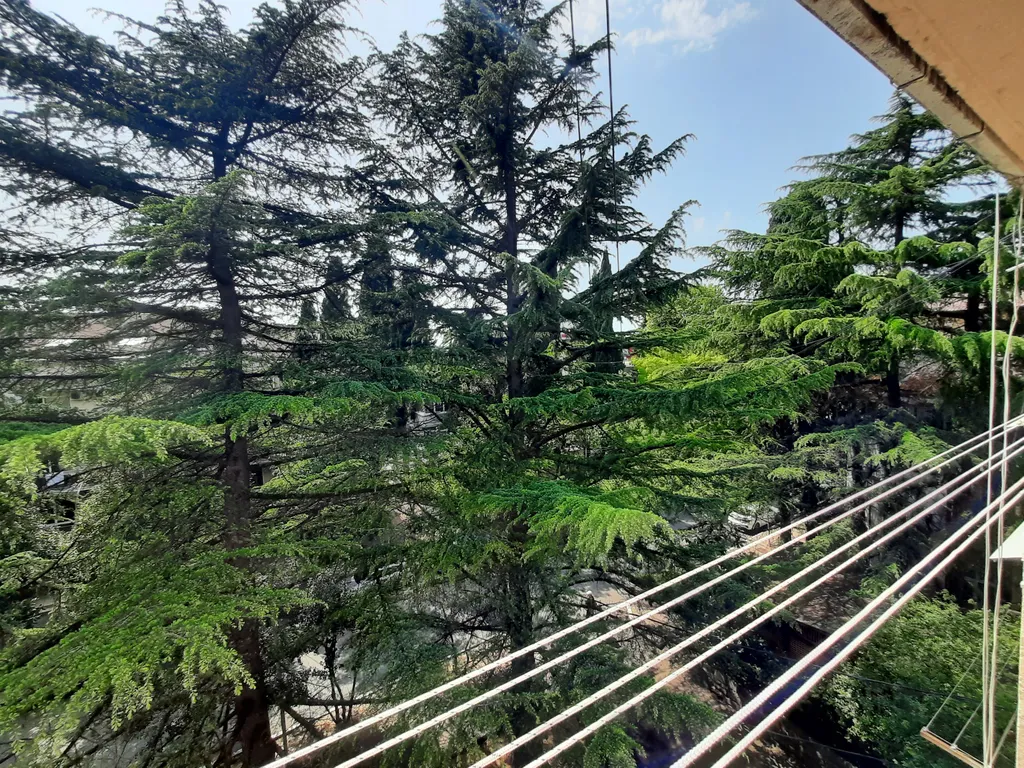 Светлая квартира