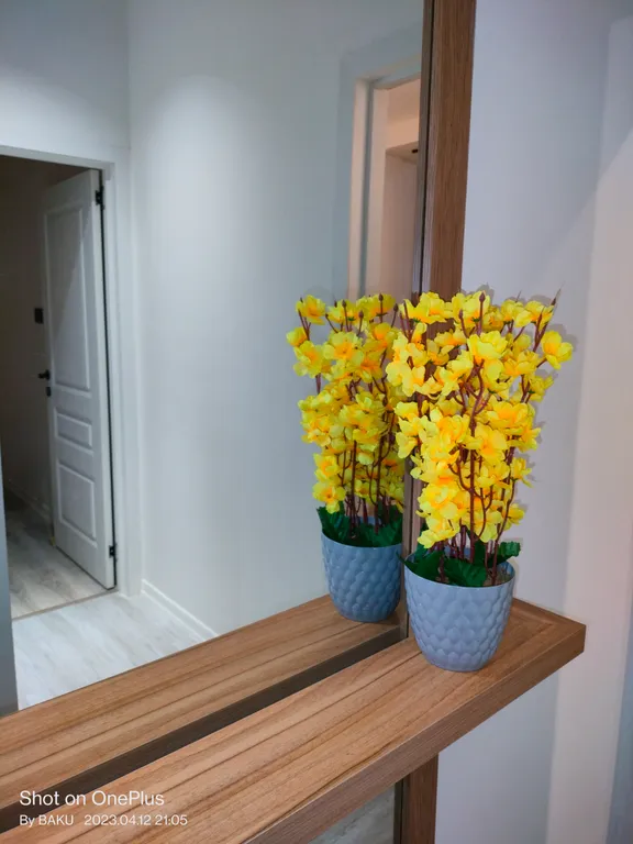 Уютная квартира в центре с трансфером и отличной шумоизоляцией