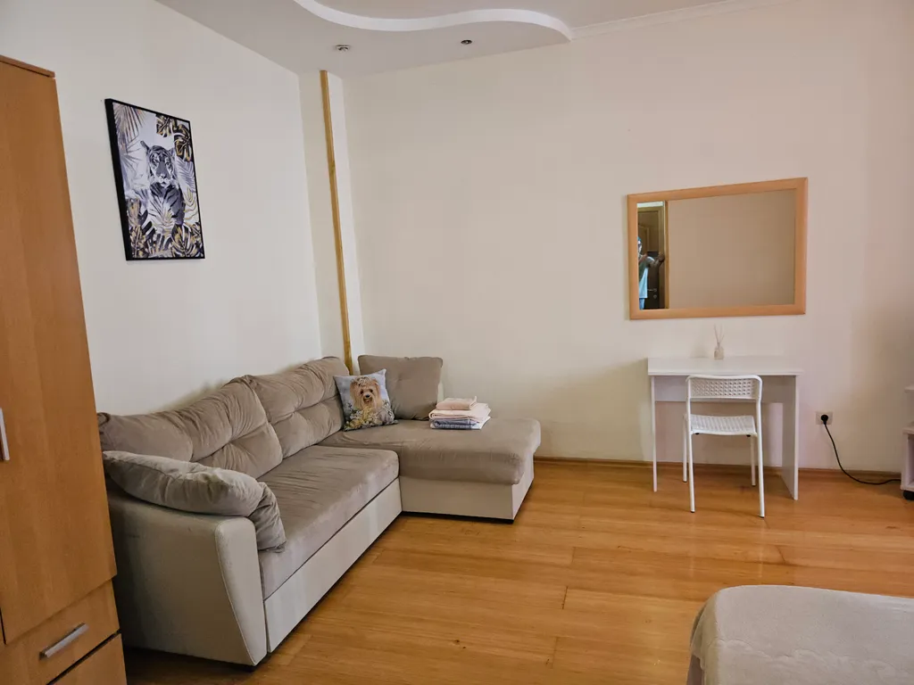 1 комнатная квартира с кухней, в центре Сочи