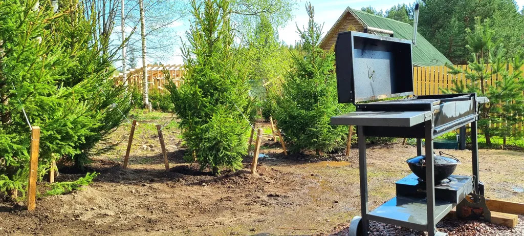 Дом для отдыха Елки Вокруг