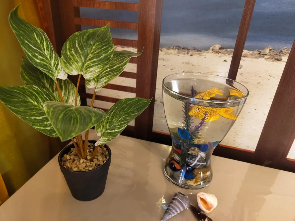 Студия в центре Выборга, Приют уставших ножек