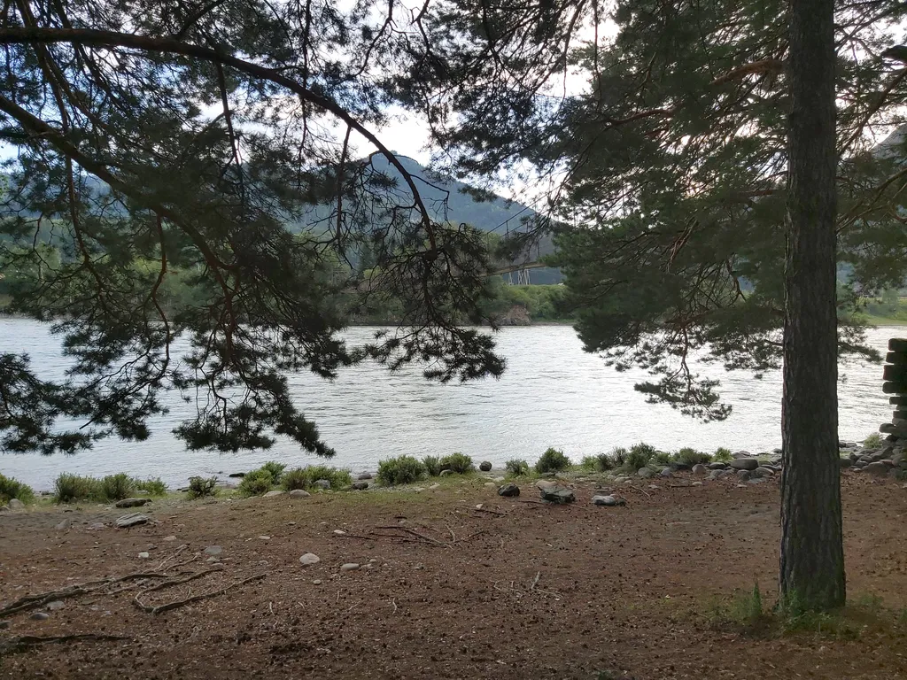 Дом на берегу Катуни