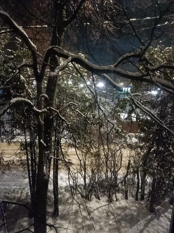 Уютная студия в центре города