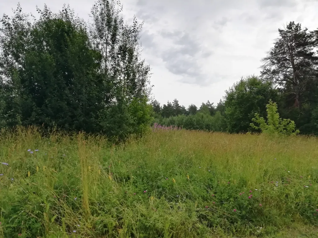 Уютный гостевой дом из бревна с видом на сад