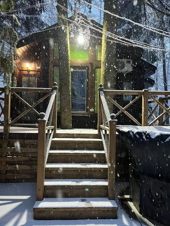 Коттедж Домик Ясень — аренда посуточно в Дмитров