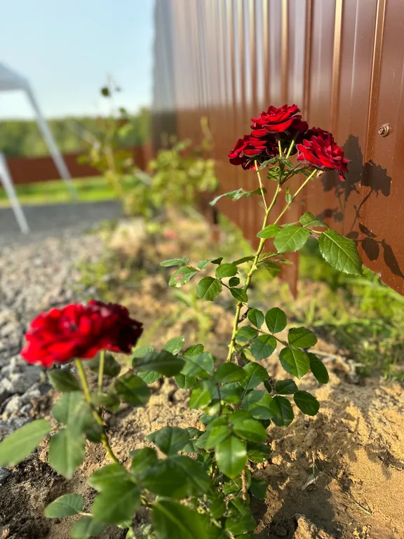 Коттедж Уютный дом Ladoga — Санкт-Петербург