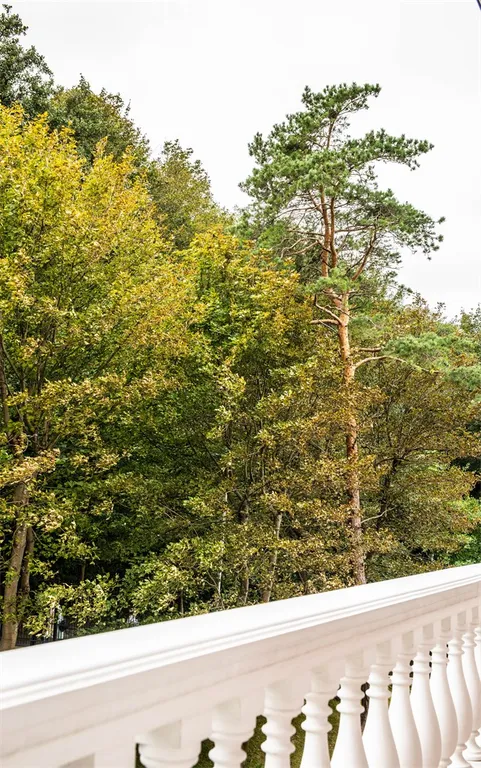 Джуниор Сюит с видом на холм