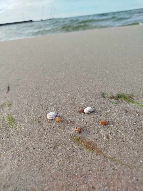 Квартира Ambre янтаря Балтийского моря