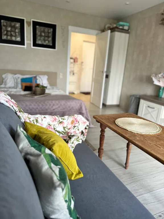 Та самая однокомнатная квартира у пруда на Новогодние праздники