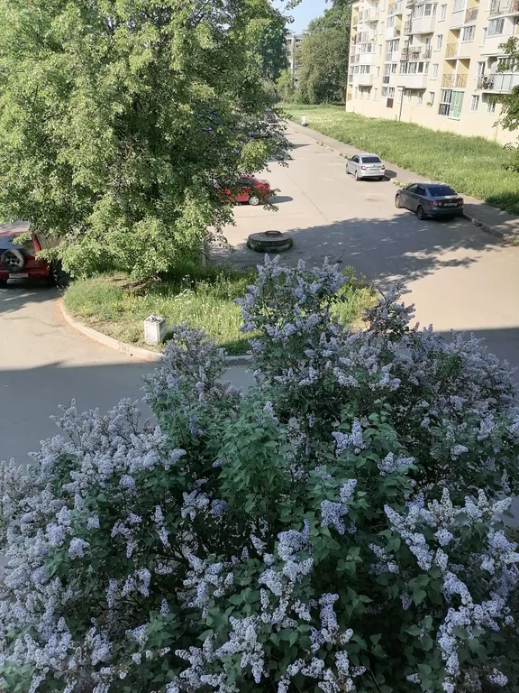 Уютная квартира у леса недалеко от Ладожского озера