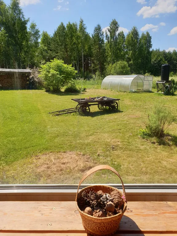 Деревянный сруб в лесу