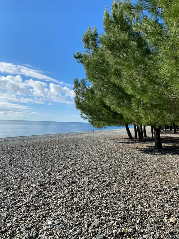 Семейный номер стандарт