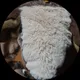 Павел