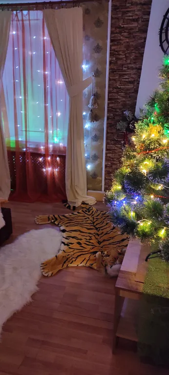 Квартира Апартаменты у Белой Башни с живописным видом, в шаге от Кремля — Великий Новгород