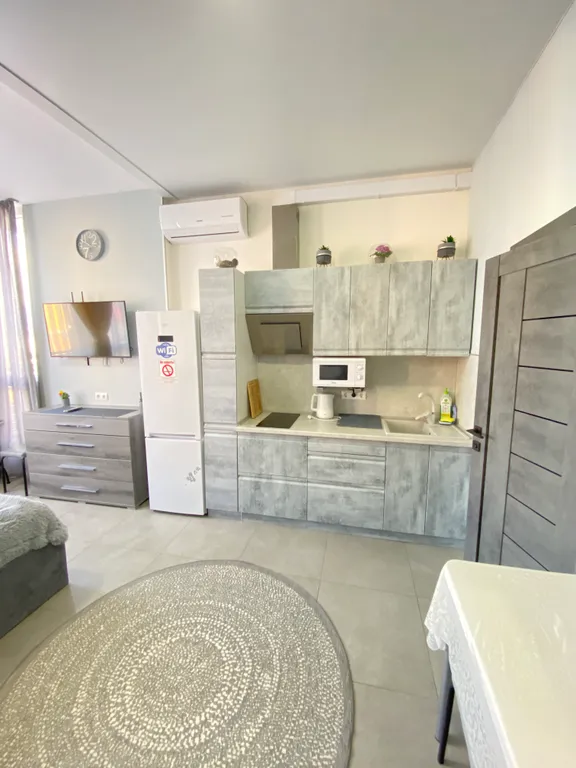 Квартира 1-комнатная Квартира — Сириус