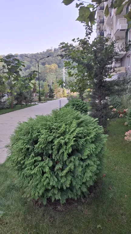 Солнечная, уютная квартира-студия, ЖК Флора, Кудепста