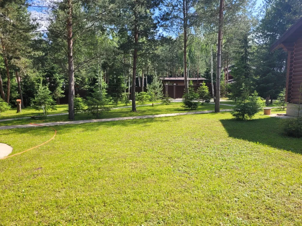 Дом в сосновом лесу