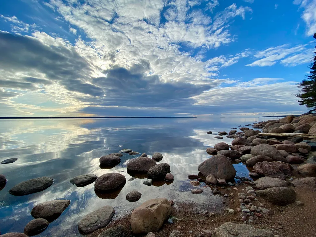Коттедж Коттедж Уединённый лесной комплекс Финский Лес у моря — Приморск