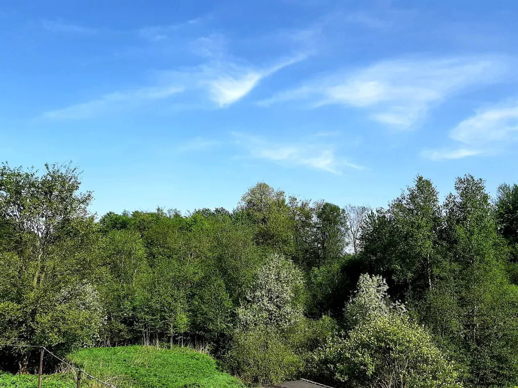 Коттедж Уютный дом с бассейном, с баней, беседка, камин, барбекю — Скоково