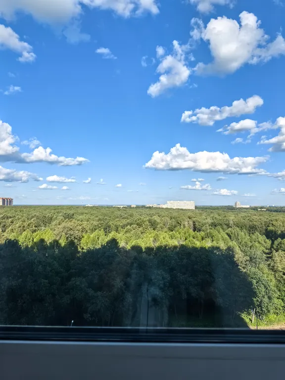 Уютная квартира с видом на прекрасный лес!