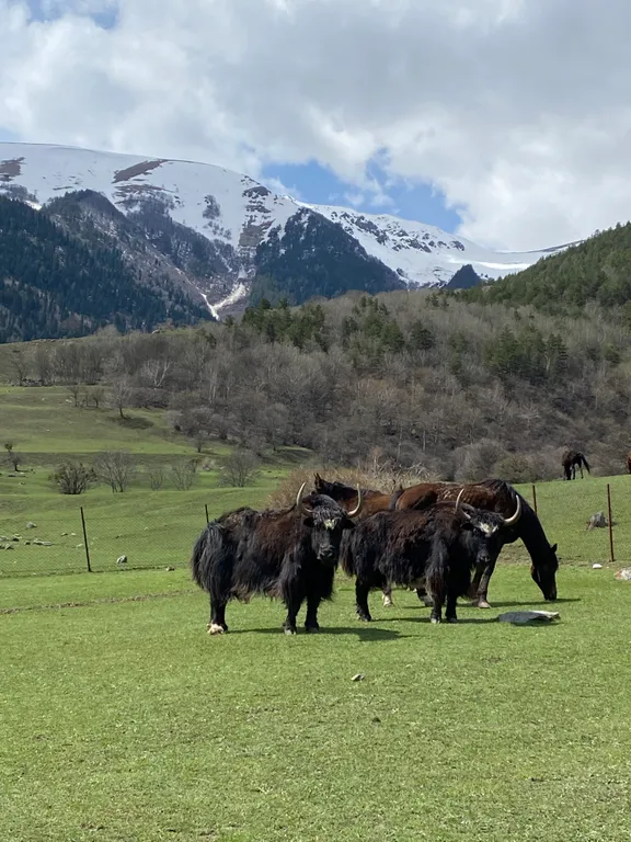 Агроусадьба Горец 2