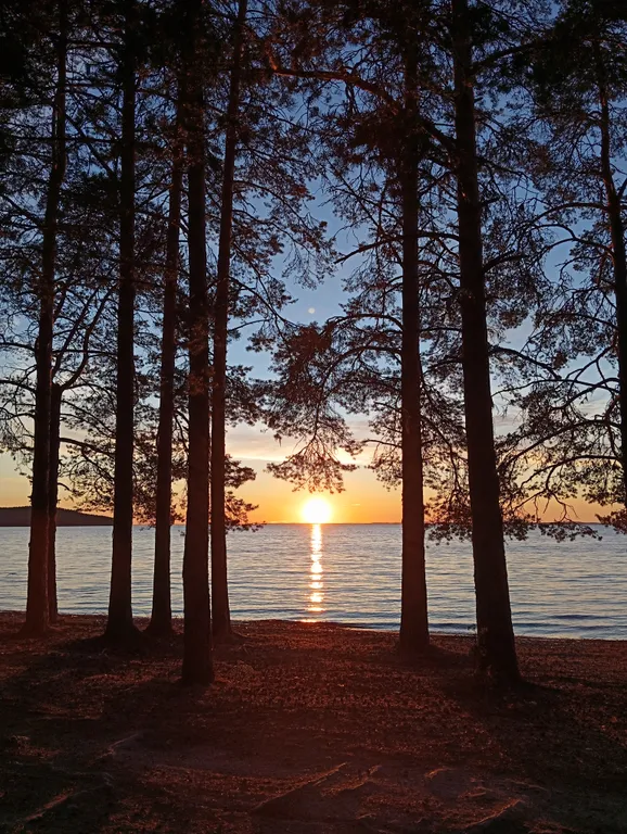 Деревянный дом, на берегу меличуярви, на краю леса в карельском селе