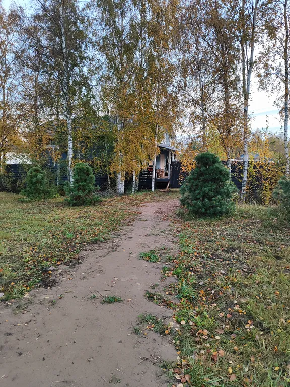 Кобона Ладога Коттедж с баней у воды