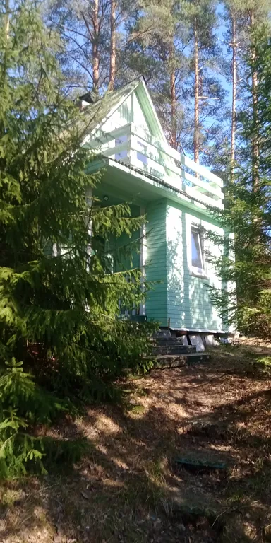 Лесная сказка на берегу Ладоги