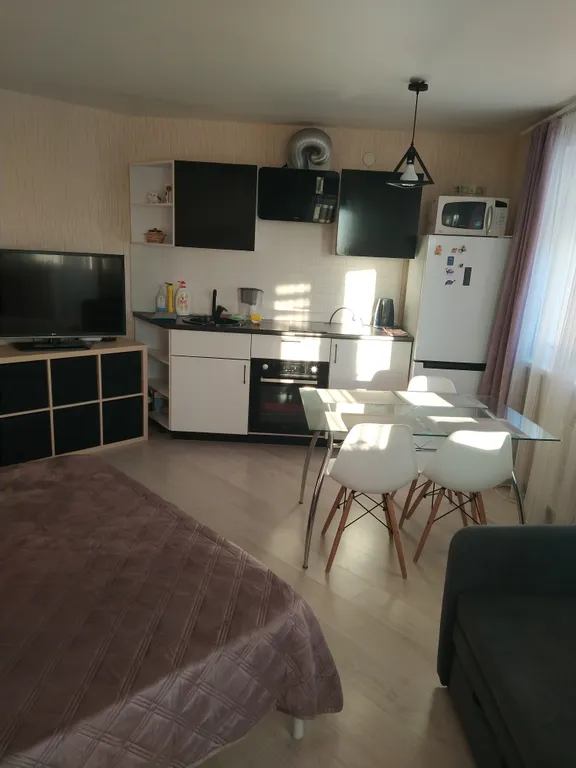 Уютная студия с развитой инфраструктурой