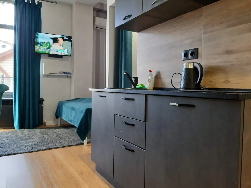 Студия с видом на горы